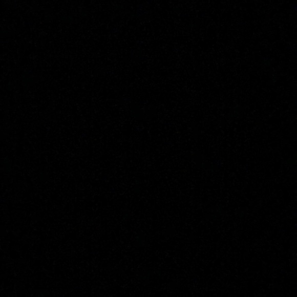 Meet your Posher, Sofia - Picture 1 of 1